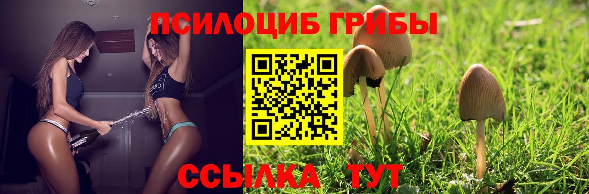 Галлюциногенные грибы Magic Shrooms  Вход с VPN  Богородицк 